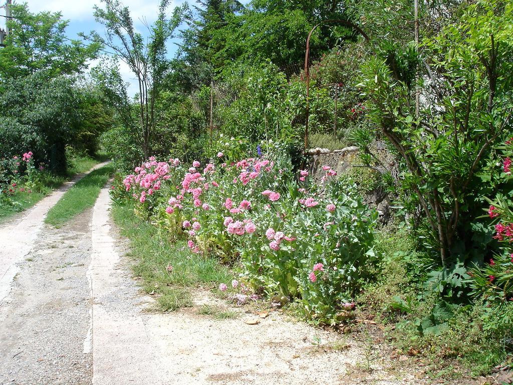 La Colline Bleue Bed & Breakfast Banne Exterior photo